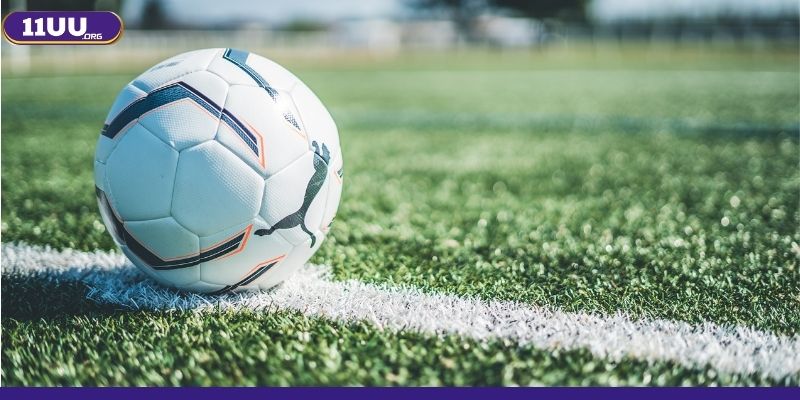 Cách đọc cá cược kèo châu Á đơn giản Cách đọc cá cược kèo châu Á đơn giản